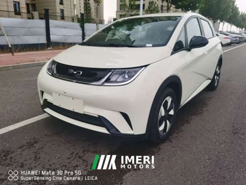 2026 BYD Dolphin 2025 420km Freedom Edition - ავტომობილი ჩინეთიდან
