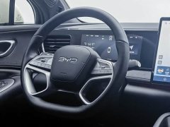BYD Haima Lion Haima Sealion 06 DM-i 205 Pilot Pro - photo 11