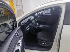 BYD Haima Lion Haima Sealion 06 DM-i 205 Pilot Pro - photo 13