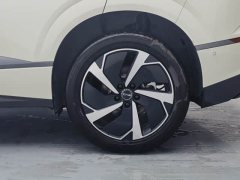 BYD Haima Lion Haima Sealion 06 DM-i 205 Pilot Pro - photo 19