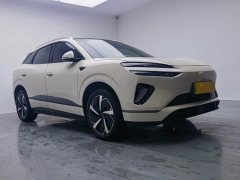 BYD Haima Lion Haima Sealion 06 DM-i 205 Pilot Pro - photo 3