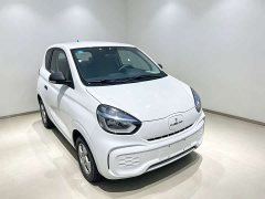 SAIC Colewey Corey Wei CLEVER 302km Excellence Edition - photo 3