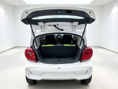 SAIC Colewey Corey Wei CLEVER 302km Excellence Edition - photo 7