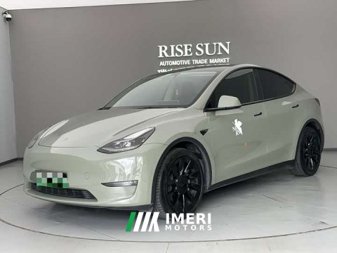 2021 Tesla Model Y Standard Range RWD - ავტომობილი ჩინეთიდან