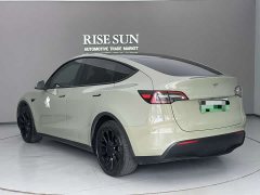Tesla Model Y Standard Range RWD - ფოტო 5