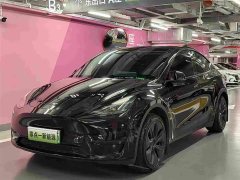 Tesla Model Y 2023 Rear-Wheel Drive - ფოტო 1
