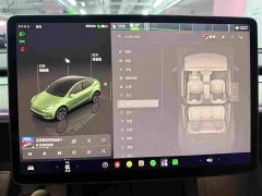 Tesla Model Y 2023 Rear-Wheel Drive - ფოტო 10