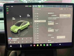 Tesla Model Y 2023 Rear-Wheel Drive - ფოტო 12
