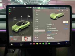 Tesla Model Y 2023 Rear-Wheel Drive - ფოტო 13