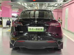 Tesla Model Y 2023 Rear-Wheel Drive - ფოტო 4