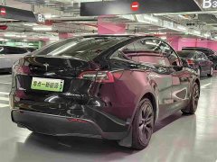 Tesla Model Y 2023 Rear-Wheel Drive - ფოტო 5