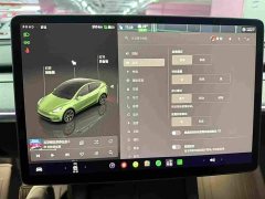 Tesla Model Y 2023 Rear-Wheel Drive - ფოტო 8