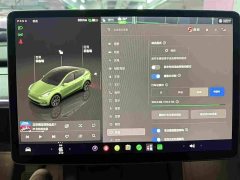 Tesla Model Y 2023 Rear-Wheel Drive - ფოტო 9