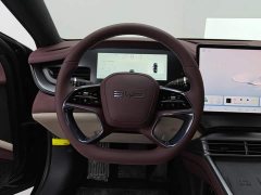 BYD Dolphin 07 DM-i 2025 DM-i 1.5L 125km Luxury - ფოტო 15