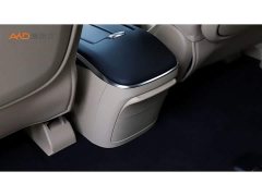 Buick GL8 New Energy Lusang Respect Edition - ფოტო 10