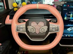 Neta V 2022 Tide 400 Lite Pink Custom Edition - ფოტო 11