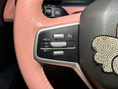 Neta V 2022 Tide 400 Lite Pink Custom Edition - ფოტო 12
