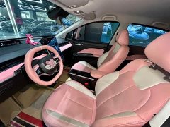 Neta V 2022 Tide 400 Lite Pink Custom Edition - ფოტო 9
