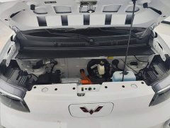 Wuling Zhiguang New Energy 305km Aspiring Edition - ფოტო 10