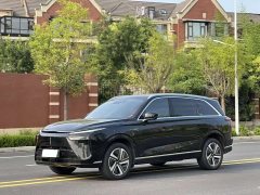 Great Wall WEY Blue Mountain Four-Wheel Drive Extended Range Version - ფოტო 1
