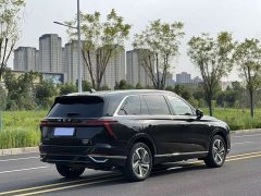 Great Wall WEY Blue Mountain Four-Wheel Drive Extended Range Version - ფოტო 7