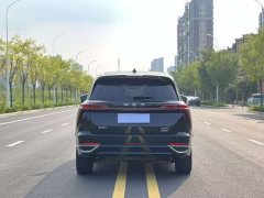 Great Wall WEY Blue Mountain Four-Wheel Drive Extended Range Version - ფოტო 8