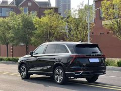 Great Wall WEY Blue Mountain Four-Wheel Drive Extended Range Version - ფოტო 9