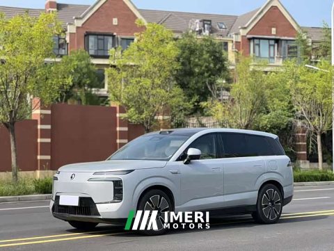 2025 Denza BYD Denza N8L Flagship - ავტომობილი ჩინეთიდან