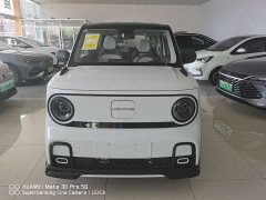 Geely Panda 2025 210km Panda Kart - ფოტო 1