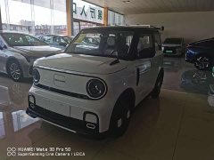 Geely Panda 2025 210km Panda Kart - ფოტო 6