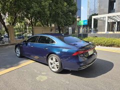 Audi A7L 45TFSI quattro S-line Vision Type Flowing Crystal Package - ფოტო 16