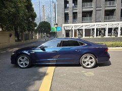 Audi A7L 45TFSI quattro S-line Vision Type Flowing Crystal Package - ფოტო 4