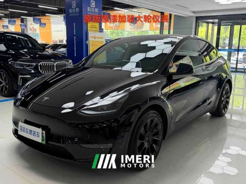 2021 Tesla Model Y Standard Range RWD - ავტომობილი ჩინეთიდან