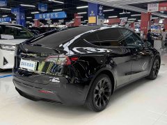 Tesla Model Y Standard Range RWD - ფოტო 15