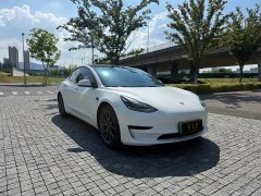 Tesla Model 3 2021 Standard Range RWD Upgrade 3D6 - ფოტო 2