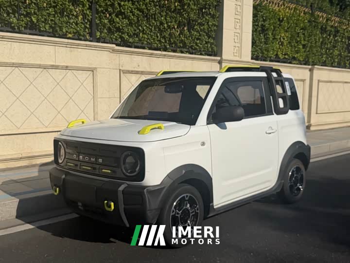 Geely Panda 2024 200km Panda Knight - ავტომობილი ჩინეთიდან