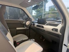 Geely Panda 2024 200km Panda Knight - ფოტო 11