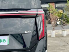 GAC Aion E9 2023 E9 Champion Edition - ფოტო 9