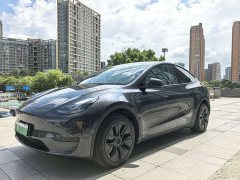 Tesla Model Y 2024 Rear-Wheel Drive - ფოტო 1