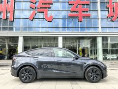 Tesla Model Y 2024 Rear-Wheel Drive - ფოტო 9