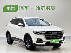 Haval H6 2021 Guochao Edition 1.5T Automatic Urban Edition - ფოტო 3