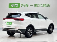 Haval H6 2021 Guochao Edition 1.5T Automatic Urban Edition - ფოტო 4