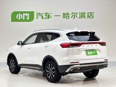 Haval H6 2021 Guochao Edition 1.5T Automatic Urban Edition - ფოტო 6