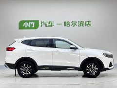 Haval H6 2021 Guochao Edition 1.5T Automatic Urban Edition - ფოტო 7