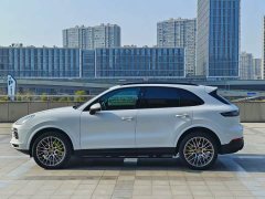 Porsche Cayenne 3.0T Platinum Edition - ფოტო 4