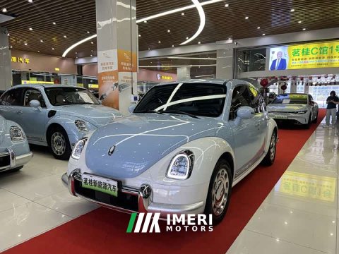 2023 Ora Ballet Cat 2022 500km Sleeping Beauty Edition - ავტომობილი ჩინეთიდან