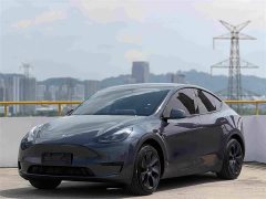 Tesla Model Y 2024 Rear-Wheel Drive - ფოტო 1