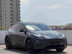 Tesla Model Y 2024 Rear-Wheel Drive - ფოტო 3