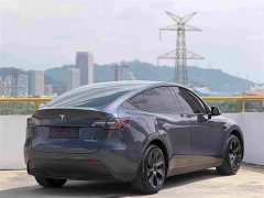 Tesla Model Y 2024 Rear-Wheel Drive - ფოტო 4