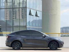 Tesla Model Y 2024 Rear-Wheel Drive - ფოტო 8